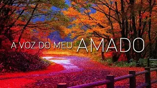 A Voz do Teu Amado – Canção Profética de Adoração | Worship