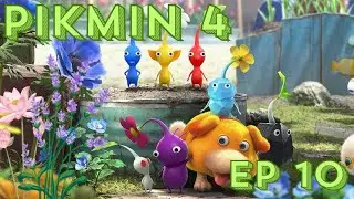 🌸 Pikmin 4 Ep 10 | Surprise Pink Pikmin Discovery! 💖
