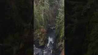 Plodda Falls #travel #christmas