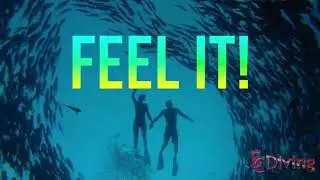 SCDiving - Are You Ready to Learn to Scuba Dive