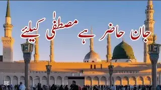 🌙Jaan Hazir Hai Mustafa Ka Liye | Umer Munir Qadri | Slowed + Reverb | 2025 | Heart Touching Naat 💖