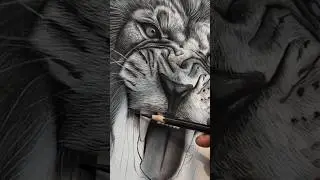 Draw a lion face. #drawing #toturial #pencildrawing #lion