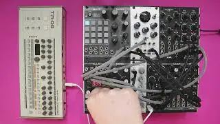 Livestock Electronics - Ellis