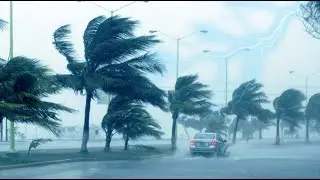 Мощный грозовой дождь для сна, расслабления ⚡ Сильный дождь, сильный гром и воющий ветер