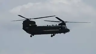 Chinook slow rise and hover.