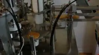 Fully Automatic Rotary Cup Filling and Sealing Machine