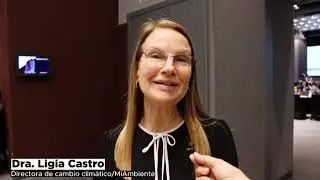 Conferencia de las Partes (COP31)