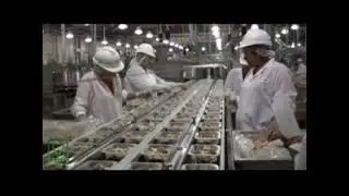 G Mondini   Ready Meals Line Tsunami Conagra Foods