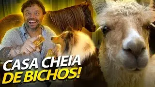 CONHECENDO UMA CASA MAIS DOIDA QUE A CASA DOS BICHOS