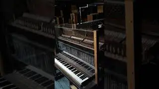 Inside the Wanamaker Organ with Æther Regan