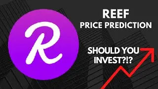 What If You Invested $50 In REEF? | REEF Finance Price Prediction | REEF Finance Review | REEF News