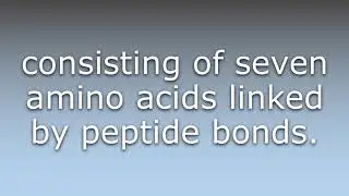 What does Heptapeptide mean?