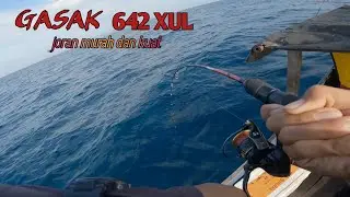 JORAN..!! GASAK 642 XUL ASLI DI SIKSA HABIS-HABISAN!!