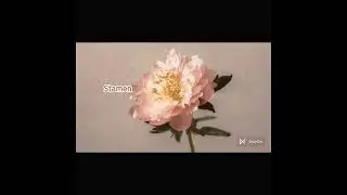 Flower parts and pollination - science cute story ! | BIOLOGY MADE EASY | #Gyaanleaf