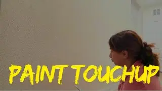 Paint TouchUp And Regular Day Vlog 