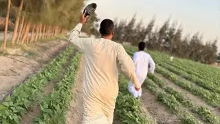 لما يكون اخوك فاشل 