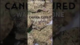 CannaCured's Best Strain EVER: Waffle Cone 🔥 (Cured Club) Strongest Indica #CannaCured