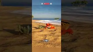 El pez se comi&oacute; la rana.🦈🐸#shorts