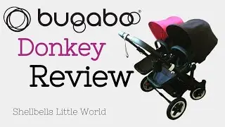 Обзор коляски Bugaboo Donkey