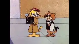 Top Cat - And Lola ain&rsquo;t exactly no shrinkin&rsquo; violet. (READ DESCRIPTION)