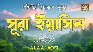 প্রতিদিন সকালে শুনুন-প্রশান্তিময় কণ্ঠে সূরা ইয়াসীন|(سورة يس) SURAH YASIN |Morning Quran Racitation