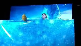 Frozen puppet show
