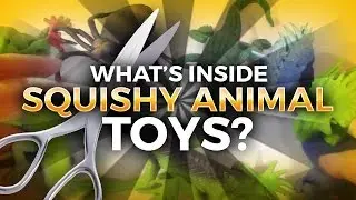 What's inside squishy animal toys cutting open Gross Spider Lizards Alligators