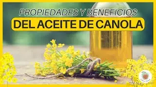 EL ACEITE DE CANOLA &iquest;Bueno Para la SALUD?
