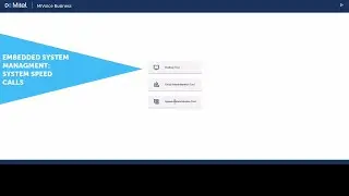 Embedded System Management: System Speed Calls: MiVoice Business