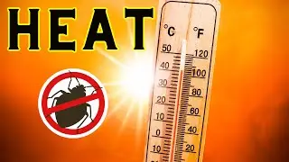 5 Tips for Getting Rid of BED BUGS using HEAT TREATMENT