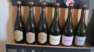 Bodega Agrestis | Video Institucional | Estudio Daily