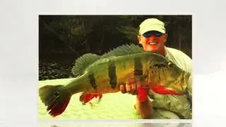 Amazon-Angler.com ..... it's what we do.
