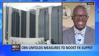 CBN's New Guidelines Will Boost Foreign Exchange in Nigeria - Ameobi