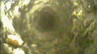 B14D Tube1A SealCourseVerifiedToEl 196'