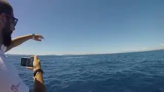 Megattere Jump