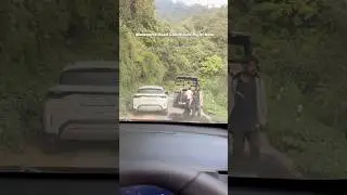 Mussoorie Road Conditions Right Now | #mussoorie #uttarakhand
