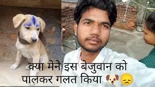 क्या मैंने इसे पालकर गलती कर दी? 😭 | My New Puppy Story