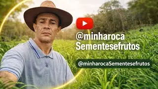 Quintal preparado e cora&ccedil;&atilde;o cheio de esperan&ccedil;a. Vem plantio!