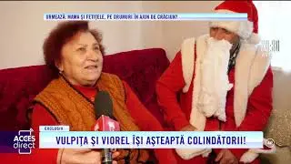 Crăciun de poveste pentru Vulpița și Viorel! Soții Stegaru împodobesc bradul