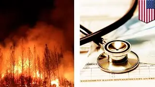 Hazardous smoke affecting California residents- TomoNews