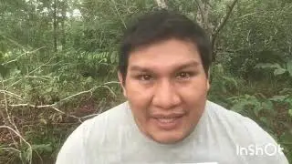 Dica como entrar no alto Xingu