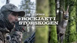 Bockjakt i storskog - Jaktdr&ouml;mmar med Filip &Ouml;rnerkrans | Avsnitt 1