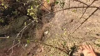 GoPro POV solowalk Through Wild Bush Terrain.Best place to hide in for wild animals#wildlife #nature