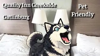 В отеле Quality Inn Creekside в Гатлинбурге разрешено проживание с домашними животными. На трассе...