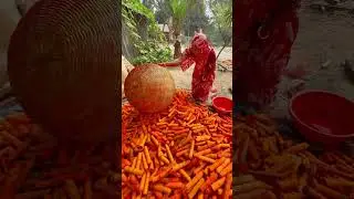 । মিনিটে ৫ টি করে কাচির হাতল তৈরী করা দেখুন