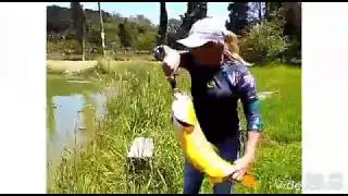 Dourado com  isca artificial