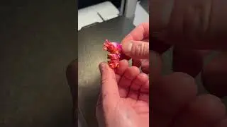 Акселот 10/10?🤔 #3ддрук #топ #друк #keychain #youtubeshort #viral