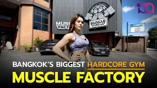 Muscle Factory มัสเซิล แฟคทอรี่  [Largest Hardcore GYM in Thailand]