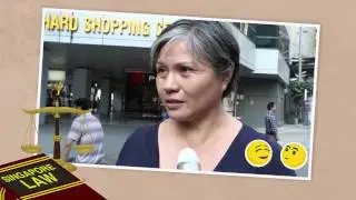 The Singapore Government Explained - Part 2: How Laws are Made