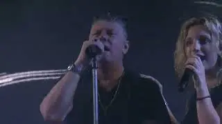 Omar Codazzi - Un'avventura Rivers of Babylon Bandiera gialla   2022